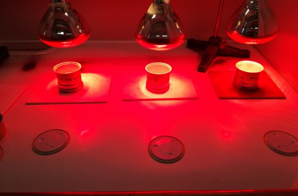 Sample preparation procedure. Radioactivity measurement